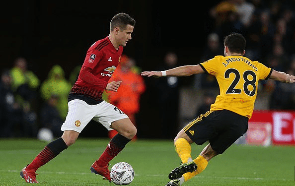 他们极有可 他们极有可